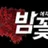 밤꽃 로고